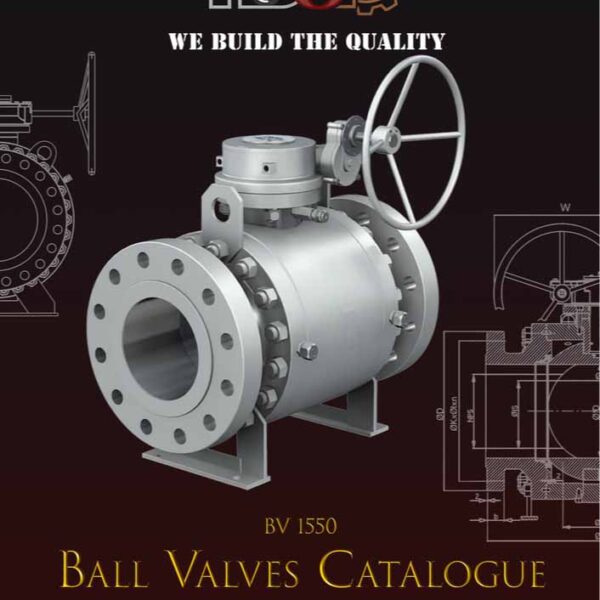 Ball Valve Split Body