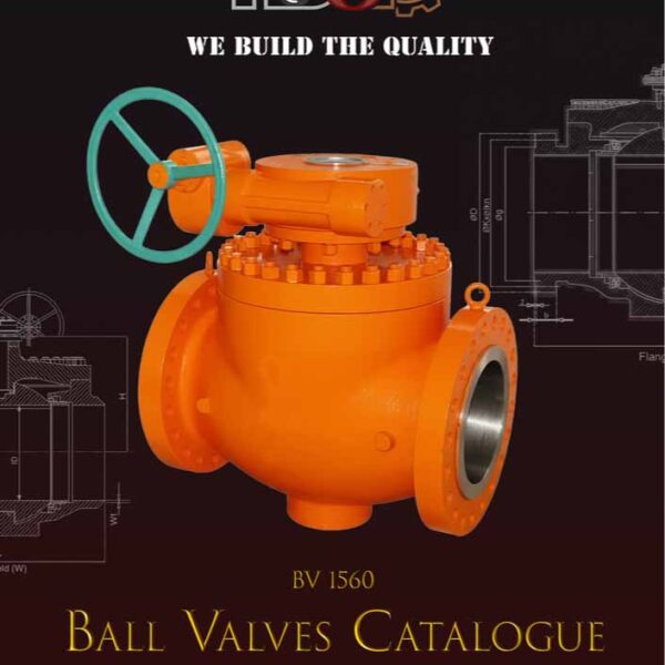 Ball Valves Top Entry